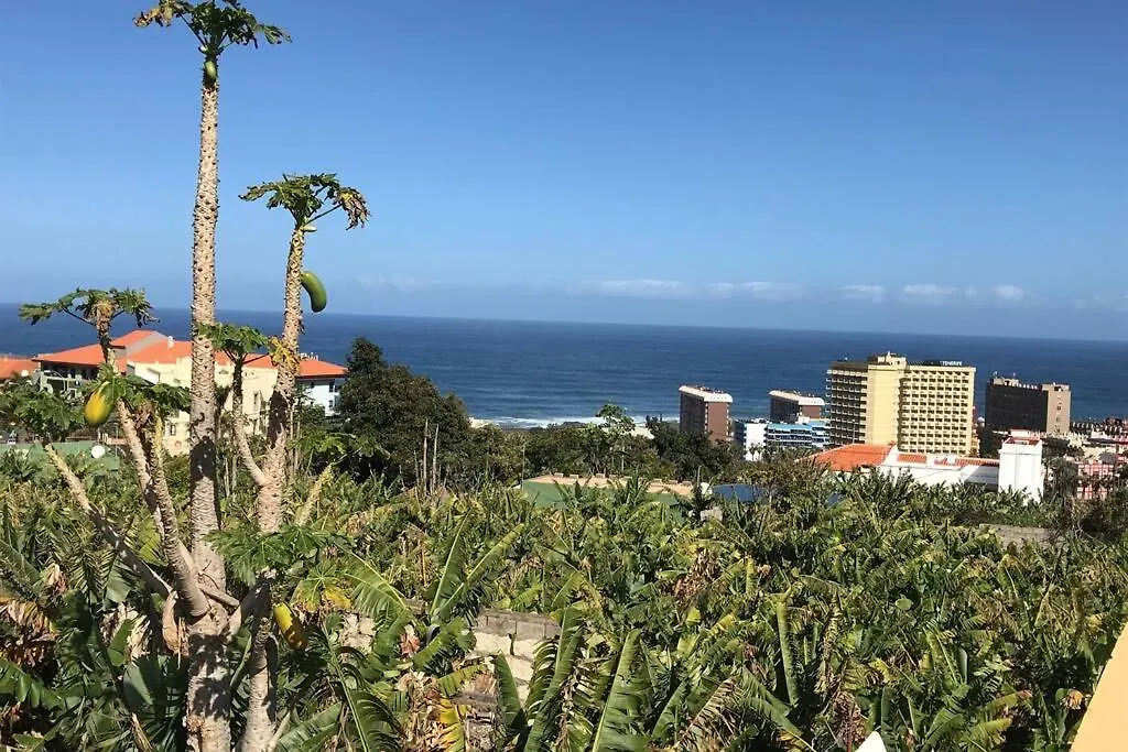 プエルト・デ・ラ・クルス Casa Barreto. Paraiso En Puerto De La Cruz.ヴィラ スペイン